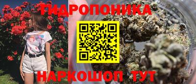 соль ск Будённовск